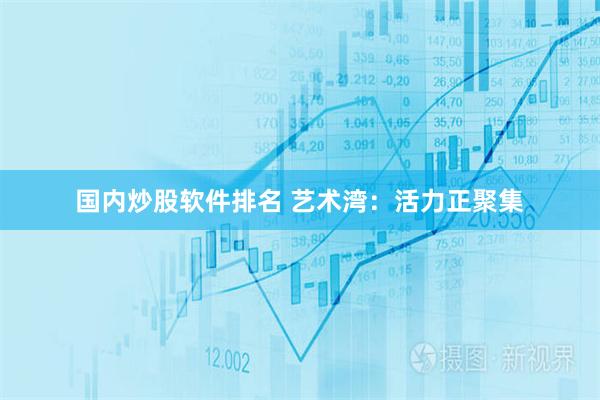 国内炒股软件排名 艺术湾：活力正聚集