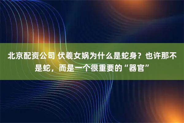 北京配资公司 伏羲女娲为什么是蛇身？也许那不是蛇，而是一个很重要的“器官”