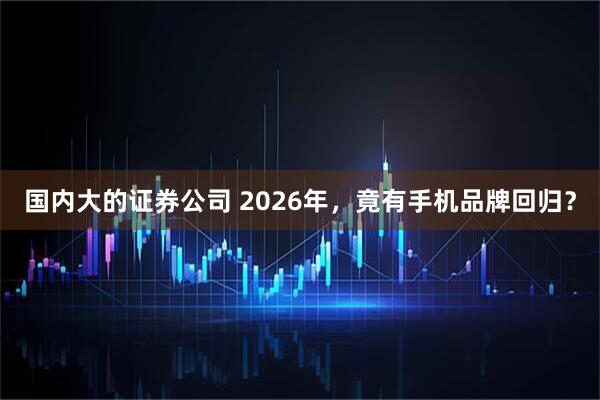 国内大的证券公司 2026年,竟有手机品牌回归?